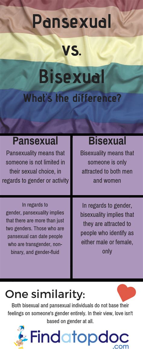 what is pansexual|Pansexuality 